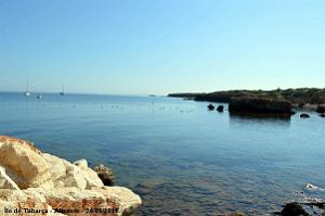 21 ALICANTE L ILE DE TABARCA (46)